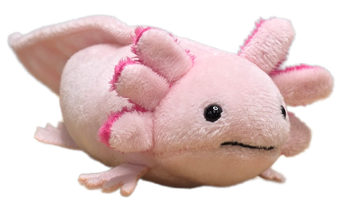 Stuffed Animal - Canned Baby Axolotl (Standard Lid)