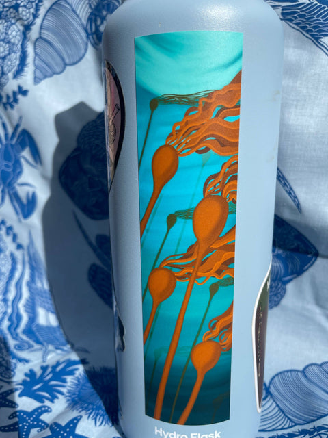 Sticker - Bull Kelp
