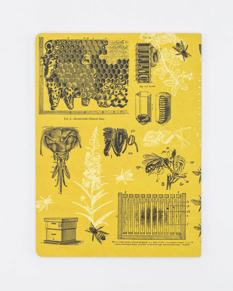 Journal (Softcover) - Bees Lined