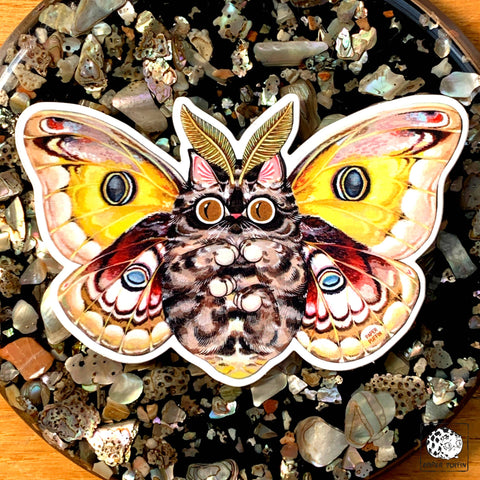 Sticker - Moth Cat "Big Eyes"