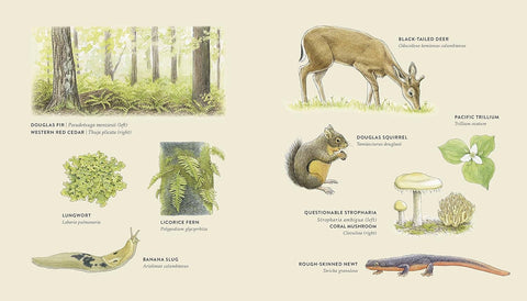 Book (Paperback) - Curious Kids Nature Journal (Explore the Pacific Northwest)
