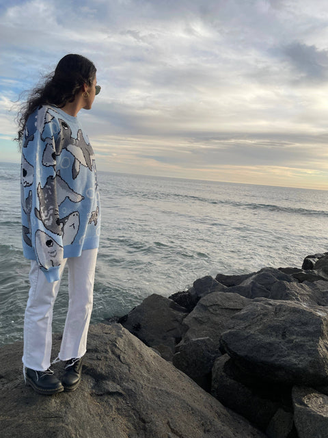 Sweater - Shark Week