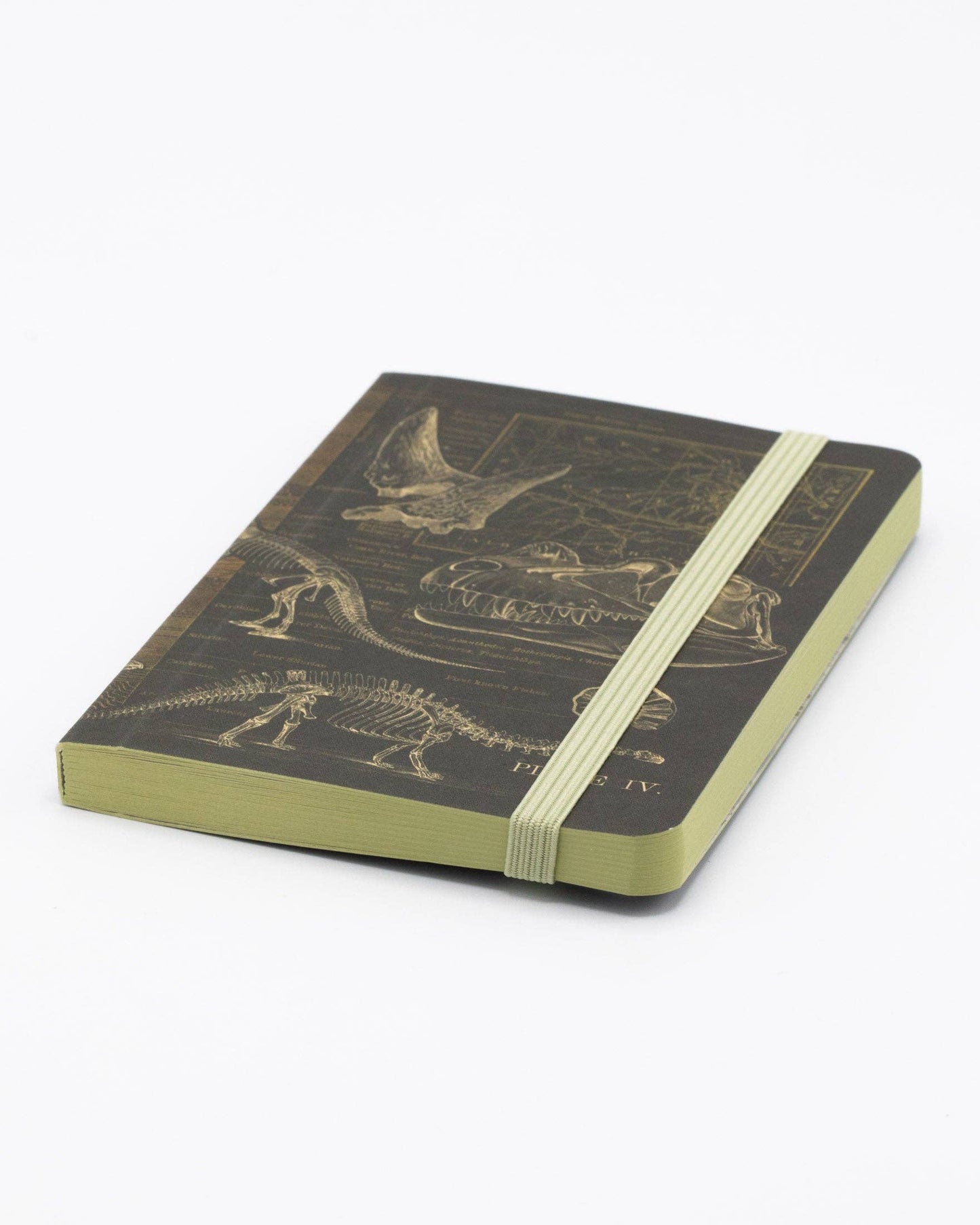 Journal (Softcover) - Dinosaur Bones Observation