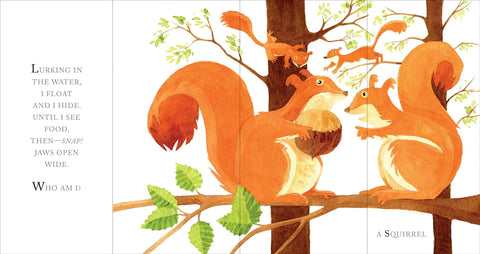 Book (Hardcover) - Whose Tail?