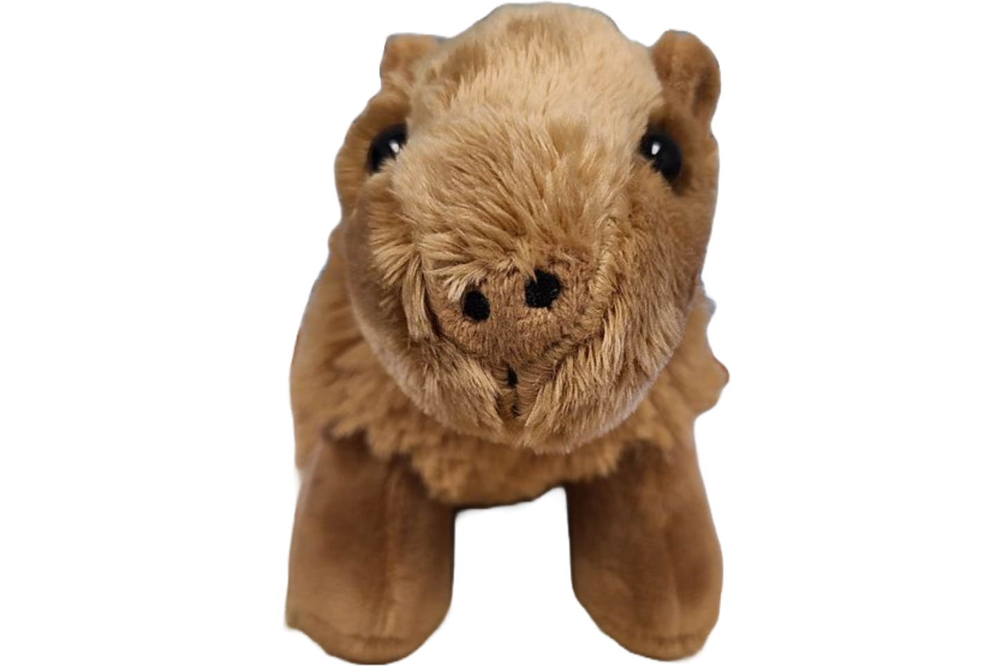 Stuffed Animal - Steve the Canned Capybara