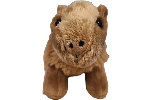 Stuffed Animal - Steve the Canned Capybara (Standard Lid)