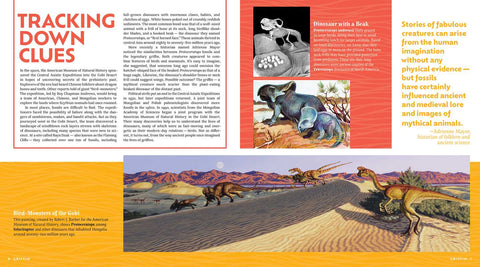 Dinosaurs to Dragons by Elizabeth Shreeve: Hardcover; 96 pages / English