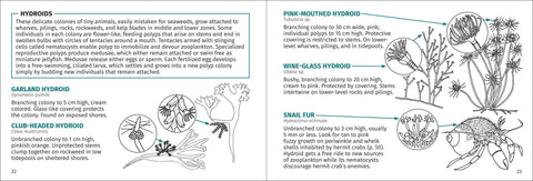 Book (Paperback) - Life on Intertidal Rocks 2nd Edition