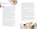 Book (Hardcover) - Around the Ocean in 80 Fish and other Sea Life