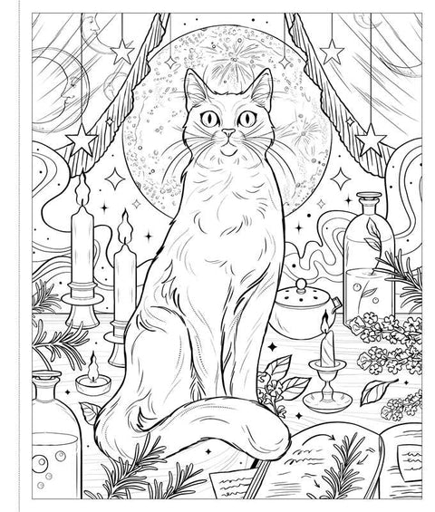 The Unofficial Coloring Book for Fans of Practical Magic by: Paperback; 48 pages / English