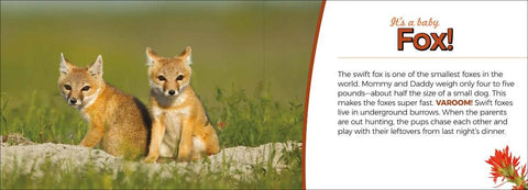 Book (Hardcover) - Whose Baby Butt?