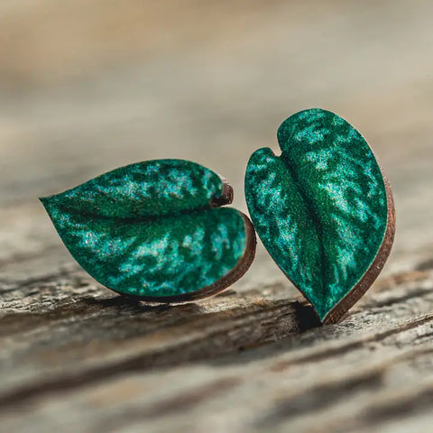 Earrings (Stud) - Satin Pothos