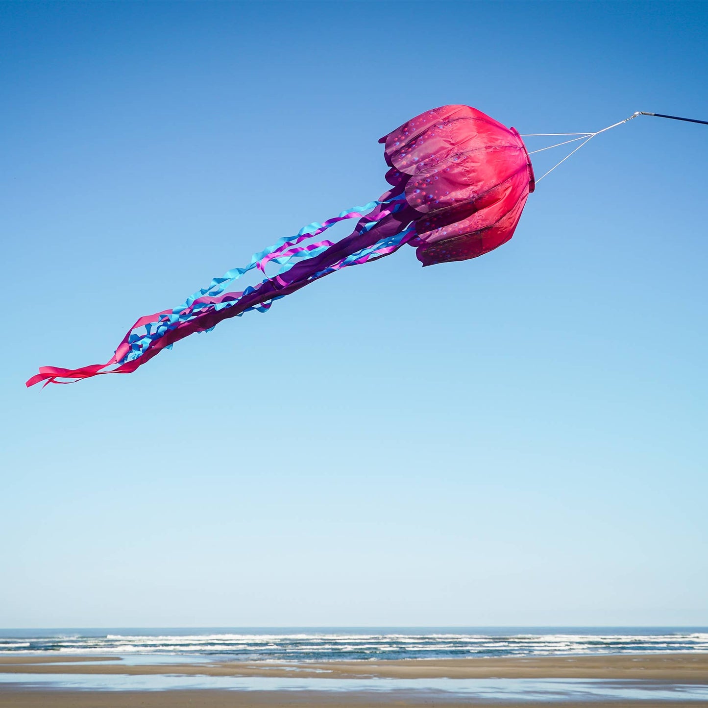 Windsock - Jellyfish Big Breeze