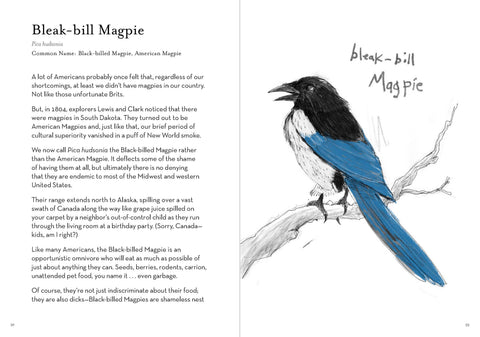 Book (Paperback) - Dumb Birds Field Guide to the Worst Birds Ever
