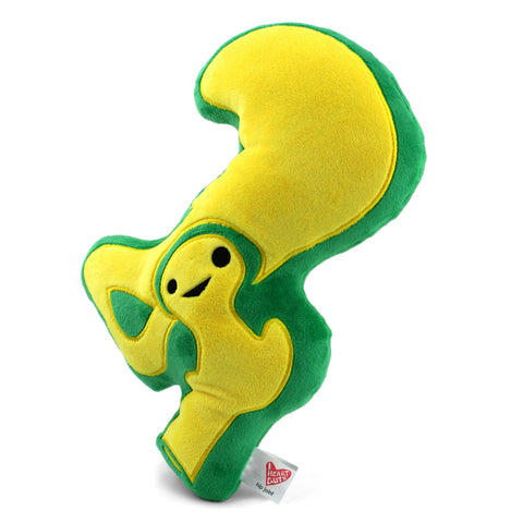 Stuffed Animal - Hip Joint