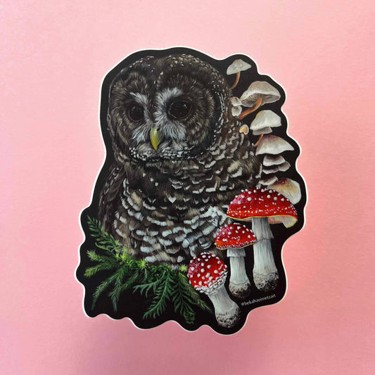 Sticker - Owl + Mushroom
