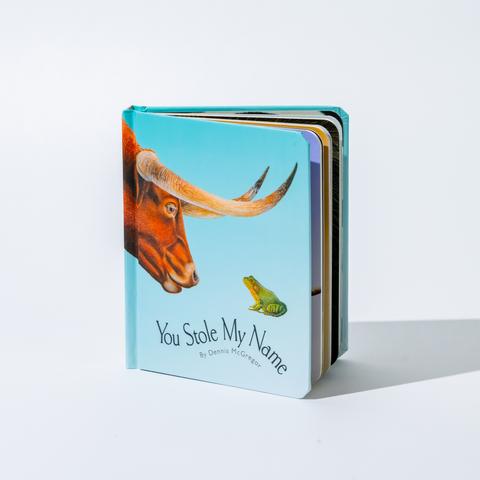 Board Book - You Stole My Name Board Book (Travel Size)