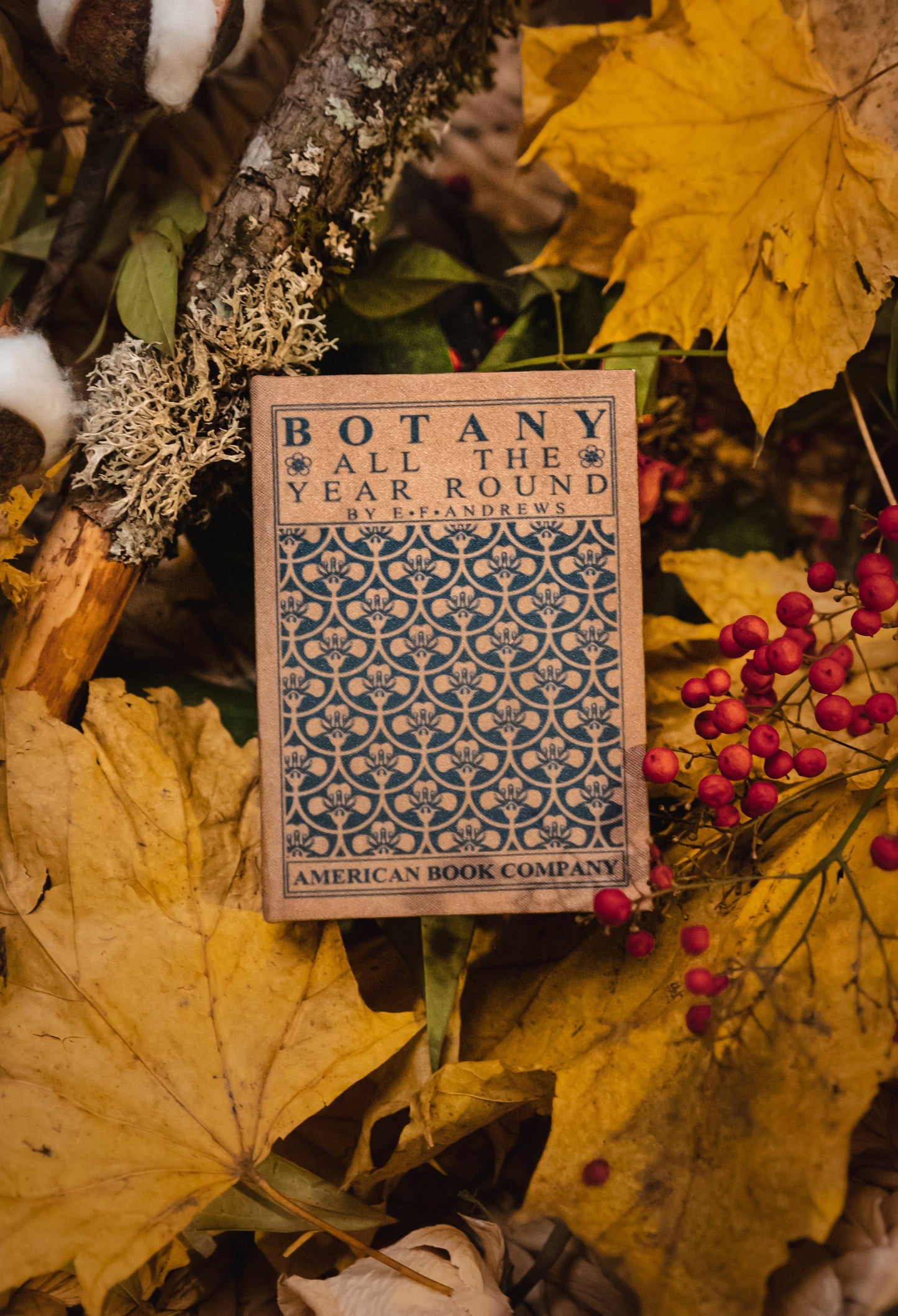 Wallet - Botany All the Year Round