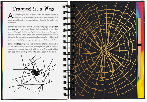 Scratch & Sketch - Bugs!