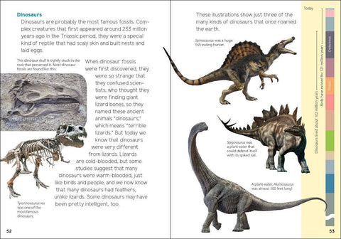 Book (Paperback) - Fossils for Kids