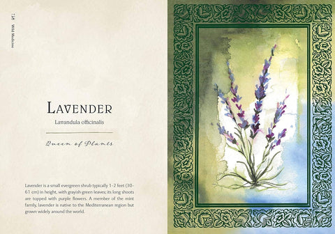 Book (Hardcover) - Wild Medicine: Illustrated Guide to the Magick of Herbs