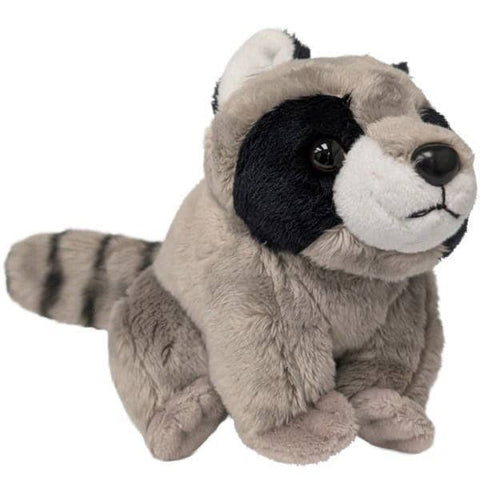 Canned Jimothy the Short Spined Raccoon Seattle Viral Hit: Regular Lid