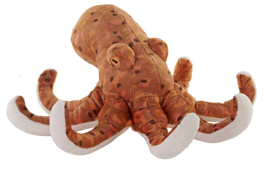 CK-Eco Octopus 12"