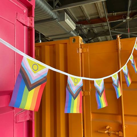 Flag Bunting - Progress Pride Flag