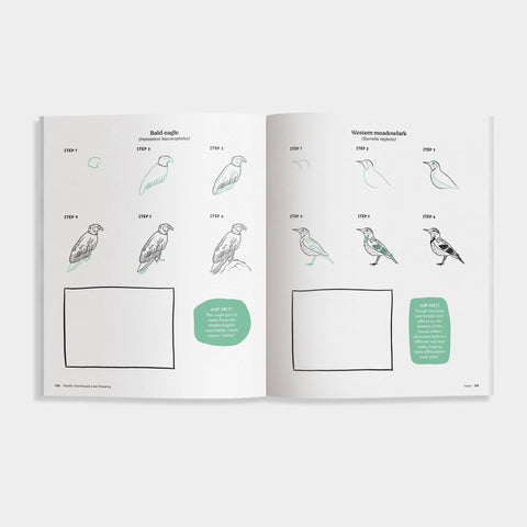 Book (Paperback) - Pacific Northwest How to Draw Book (Trees, Flowers and More)
