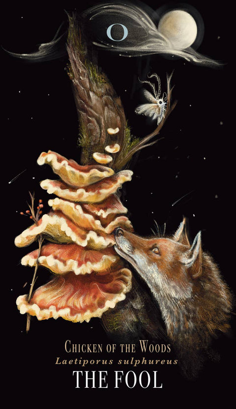 Midnight Magic by Sara Richard: Flashcards; 78 pages / English