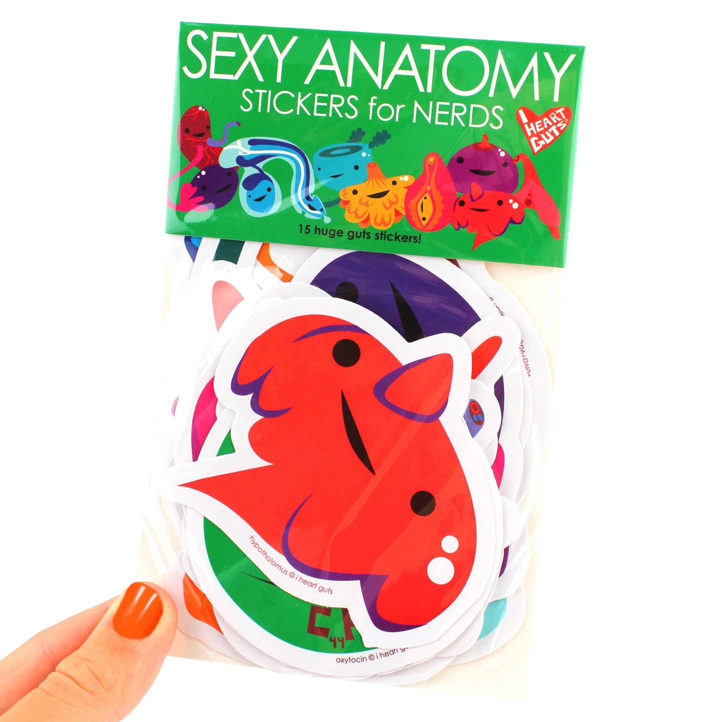 Sticker Pack - Sexy Anatomy Stickers for Nerds