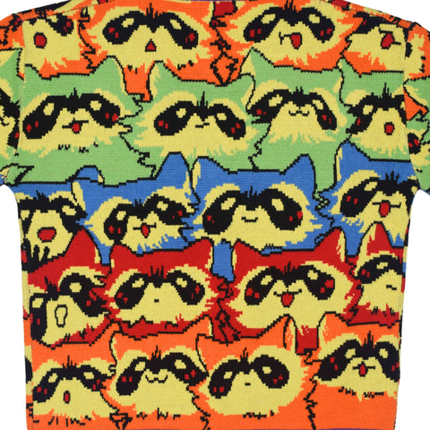 Cardigan - Rainbow Raccoon