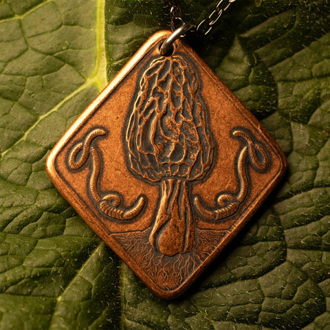 Necklace - Morel and Amanita Mushrooms of Earth Charm ( 30" Black Steel chain)