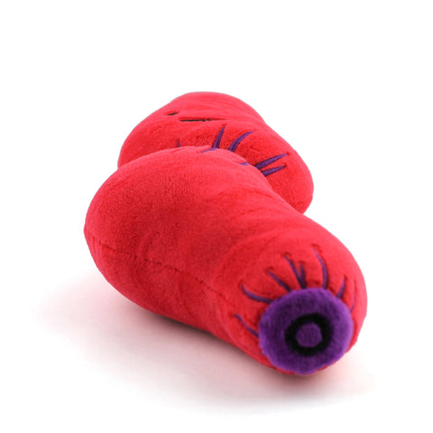 Stuffed Animal - Esophagus