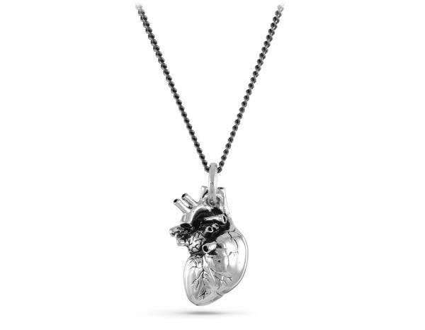 Jewelry - Anatomical Heart Necklace (Silver)