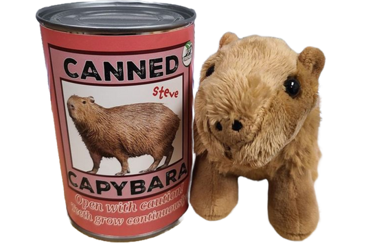 Stuffed Animal - Steve the Canned Capybara