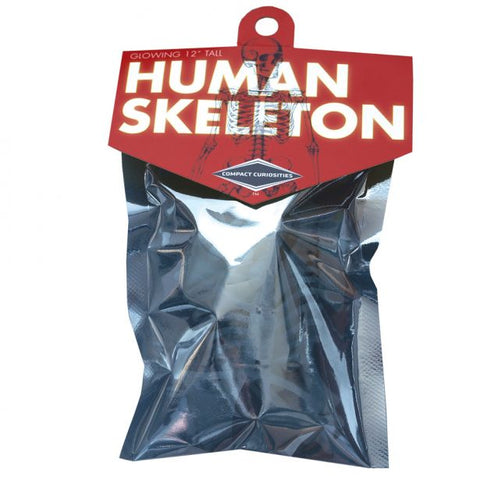 Compact Curiosities - Human Skeleton