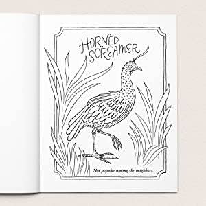 Adult Coloring Book - 30 Dirty Birdies