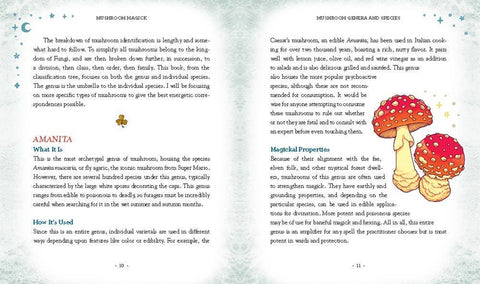 Book (Hardcover) - Mushroom Magick by Shawn Engel