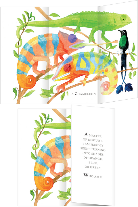 Book (Hardcover) - Whose Tail?