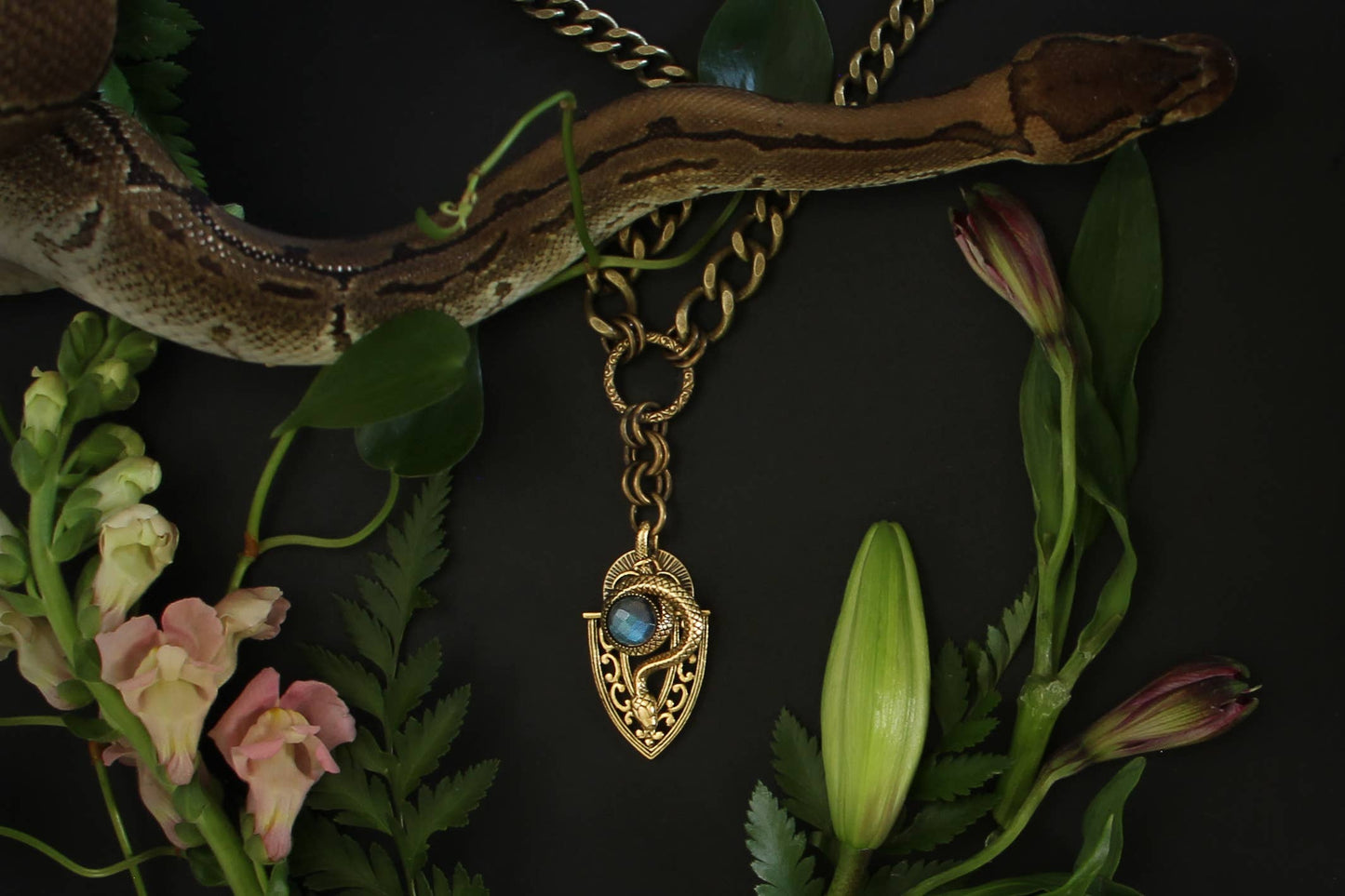 Necklace - Serpent Shield Amulet