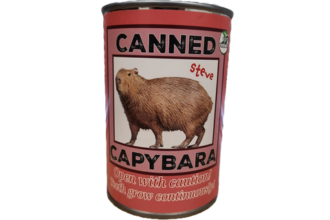 Stuffed Animal - Steve the Canned Capybara (Standard Lid)