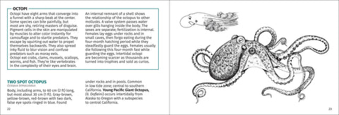 Book (Paperback) - Pacific Intertidal Life 2nd Edition