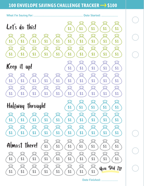 Binder - My 100 Envelope Savings Challenge