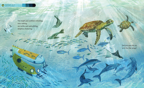 Book (Hardcover) - If You Went to the Bottom of the Ocean