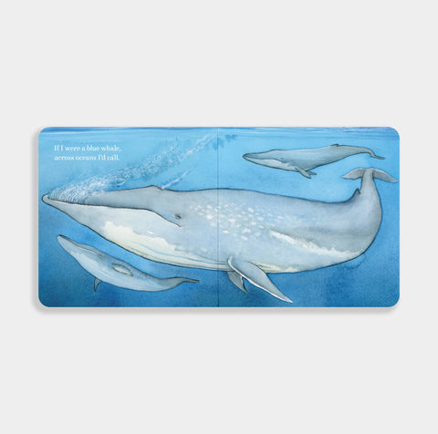 Board Book - If I Were a Whale