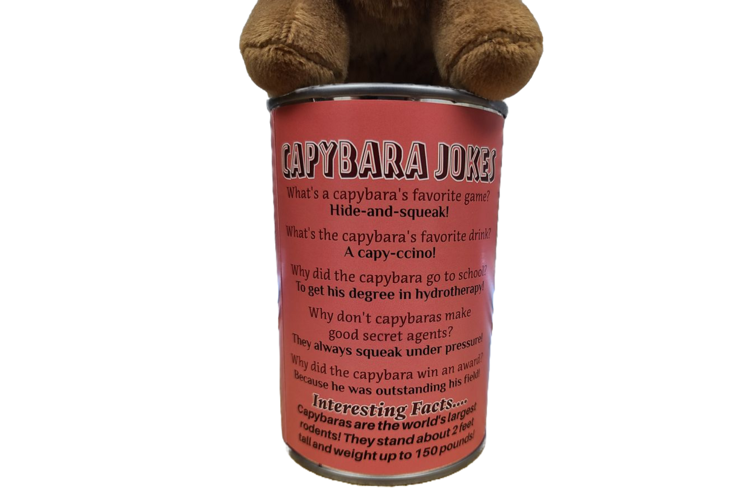 Stuffed Animal - Steve the Canned Capybara