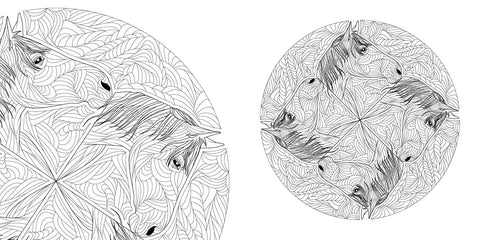 Coloring Book (Paperbacka) - Animal Mandalas