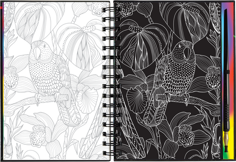 Scratch & Sketch - Extreme! The World of Birds