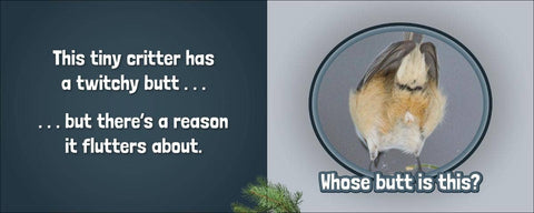 Book (Hardcover) - Whose Butt?